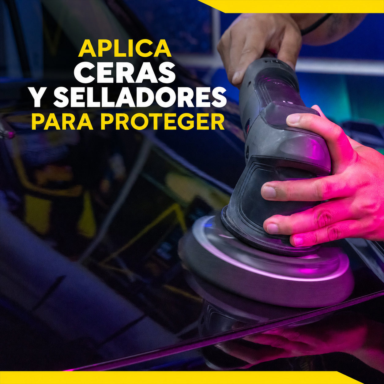 PROFESSIONAL 6" PAD DE ACABADO - Pack 2ud